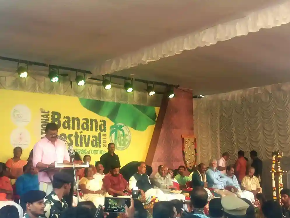 Banana Festival - 2018