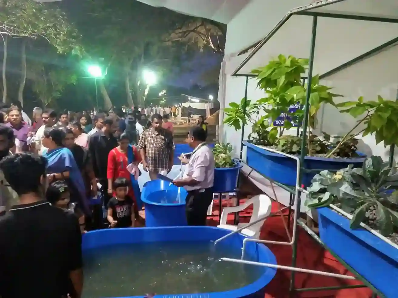Flower Show - 2019